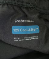icebreaker（アイスブレーカー）ショートパンツ グレー サイズ:M メンズ/2200699812290