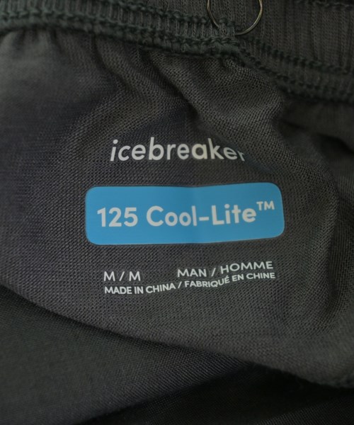icebreaker（アイスブレーカー）ショートパンツ グレー サイズ:M メンズ/2200699812313