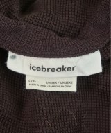 icebreaker（アイスブレーカー）Tシャツ・カットソー 茶 サイズ:L メンズ/2200659114181