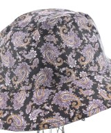 HOLLINGWORTH COUNTRY OUTFITTERS（ホリングワースカントリーアウトフィッターズ）ハット 黒 サイズ:L レディース/2200617121329