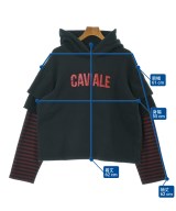 CAVIALE（カビアーレ）パーカー 黒 サイズ:L メンズ/2200654337011