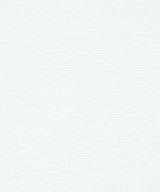 THING FABRICS（シングファブリックス）Tシャツ・カットソー 白 サイズ:2(M位) レディース/2200649273089