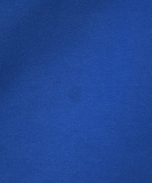 ADER error（アーダーエラー）スウェット 青 サイズ:A2(M位) メンズ/2200622230047