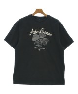 ADER error（アーダーエラー）Tシャツ・カットソー 黒 サイズ:A1(S位) メンズ/2200654012048
