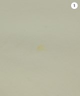 WEWILL（ウィーウィル）Tシャツ・カットソー 白 サイズ:F メンズ/2200678495070