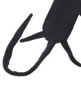 MEGMIURA（メグミウラ）マフラー 黒 サイズ:- レディース/2200672913082