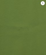 Aga（アーガ）ブラウス 緑 サイズ:9(M位) レディース/2200691804026