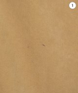 COLONY CLOTHING（コロニークロージング）カジュアルシャツ ベージュ サイズ:46(M位) メンズ/2200645118094