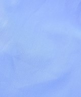 AUNT MARIE'S（アントマリーズ）カジュアルシャツ 青 サイズ:F レディース/2200611190017