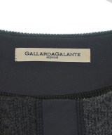 GALLARDA GALANTE especial（ガリャルダガランテエスペシャル）ニット・セーター グレー サイズ:F レディース/2200612681040