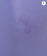 ORSETTO（オルセット）その他 紫 サイズ:- レディース/2200688809041