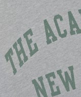 THE ACADEMY NEW YORK（ザアカデミーニューヨーク）スウェット グレー サイズ:L レディース/2200618983049