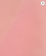 PLAN C（プランシー）ショートパンツ ピンク サイズ:38(S位) レディース/2200663443024