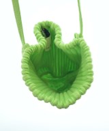 GIUGIU（ジュウジュウ）ショルダーバッグ 緑 サイズ:- レディース/2200643008021