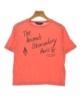 THE Animals Observatory Tシャツ・カットソー