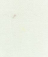 Tom Sachs（トムサックス）Tシャツ・カットソー 白 サイズ:L メンズ/2200635773012