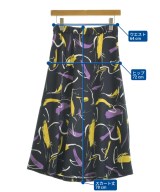 E EPOCA THE SHOP（イーエポカザショップ）ロング・マキシ丈スカート 紺 サイズ:40(M位) レディース/2200639410067