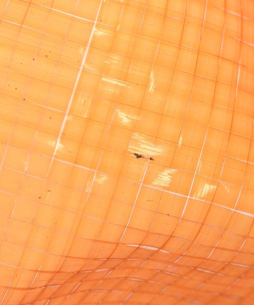 FARROW（ファロー）トートバッグ オレンジ サイズ:- レディース/2200644586351