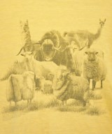MAATEE&SONS（マーティーアンドサンズ）Tシャツ・カットソー 黄 サイズ:2(M位) メンズ/2200622276021