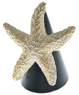 moss mills リング