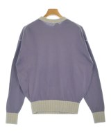 HERILL（ヘリル）Tシャツ・カットソー 紫 サイズ:-(L位) メンズ/2200690638134