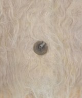 CADUNE（カデュネ）カーディガン ベージュ サイズ:38(M位) レディース/2200618668113