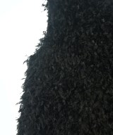 CADUNE（カデュネ）ベスト 黒 サイズ:36(S位) レディース/2200707948102