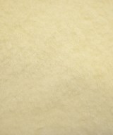 COLLEGE（カレッジ）カジュアルシャツ 白 サイズ:F レディース/2200645106114