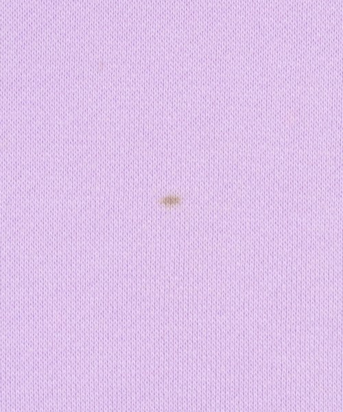 LOUSTIC（ルスティック）Tシャツ・カットソー 紫 サイズ:F レディース/2200646637037