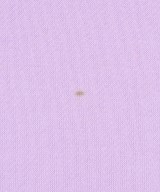 LOUSTIC（ルスティック）Tシャツ・カットソー 紫 サイズ:F レディース/2200646637037