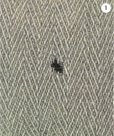 Willow Pants（ウィローパンツ ）スラックス グレー サイズ:1(S位) メンズ/2200487265017