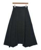HeRIN.CYE（ヘリンドットサイ）ロング・マキシ丈スカート 黒 サイズ:F レディース/2200648381075