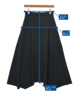 HeRIN.CYE（ヘリンドットサイ）ロング・マキシ丈スカート 黒 サイズ:F レディース/2200648381075