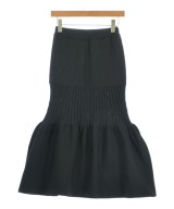 CFCL（シーエフシーエル）ロング・マキシ丈スカート 黒 サイズ:1(S位) レディース/2200621992021