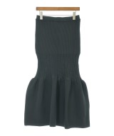 CFCL（シーエフシーエル）ロング・マキシ丈スカート 黒 サイズ:3(L位) レディース/2200659842039