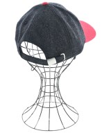 AMERICAN NEEDLE（アメリカンニードル）キャップ グレー サイズ:- メンズ/2200638242058