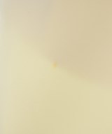 MATURED（マチュアード）その他 白 サイズ:2(M位) レディース/2200722225820