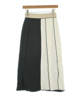 ALTEWAISAOME（アルテヴァイサオーメ）ひざ丈スカート その他（柄物・カラフル） サイズ:34(XS位) レディース/2200652988246