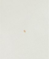 CAPPELLINI（カッペリーニ）ブラウス 白 サイズ:38(S位) レディース/2200703733061
