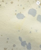 SEAN NISH（ショーンニッシュ）スウェット 白 サイズ:-(XXL位) メンズ/2200649901081