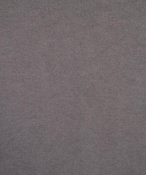 THE PAUSE（ザポーズ）スウェット グレー サイズ:F レディース/2200631799115