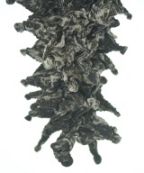 Wave of Sand（ウェーブオブサンド）Tシャツ・カットソー グレー サイズ:F メンズ/2200637229265