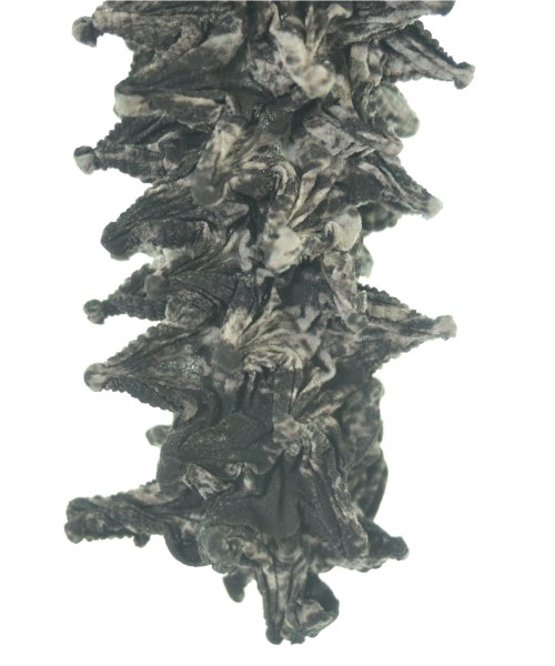 Wave of Sand（ウェーブオブサンド）Tシャツ・カットソー グレー サイズ:F メンズ/2200637229272