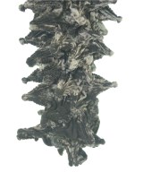 Wave of Sand（ウェーブオブサンド）Tシャツ・カットソー グレー サイズ:F メンズ/2200637229272