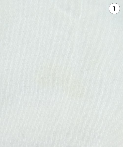 THE INTERNATIONAL IMAGES COLLECTION（ザインターナショナルイメージズコレクション）Tシャツ・カットソー 白 サイズ:F レディース/2200680668103