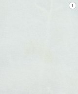 THE INTERNATIONAL IMAGES COLLECTION（ザインターナショナルイメージズコレクション）Tシャツ・カットソー 白 サイズ:F レディース/2200680668103