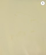 ZOE（ゾーイ）ノーカラージャケット 黄 サイズ:F レディース/2200636782372