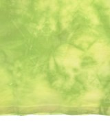 Journal Standard TRISECT2（ジャーナルスタンダードトライセクト2）Tシャツ・カットソー 緑 サイズ:M メンズ/2200674969094