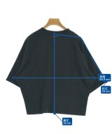 poushal（ポーシャル）Tシャツ・カットソー 黒 サイズ:40(M位) レディース/2200721112435