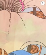 La DOUBLE J（ラダブルジェイ）Tシャツ・カットソー その他（柄物・カラフル） サイズ:S レディース/2200632100088